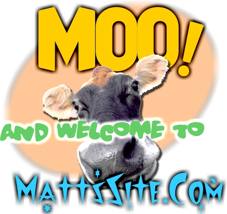 Moo!